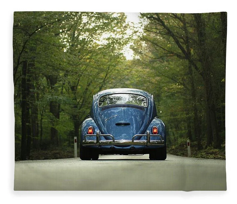 Bug On The Road - Blanket