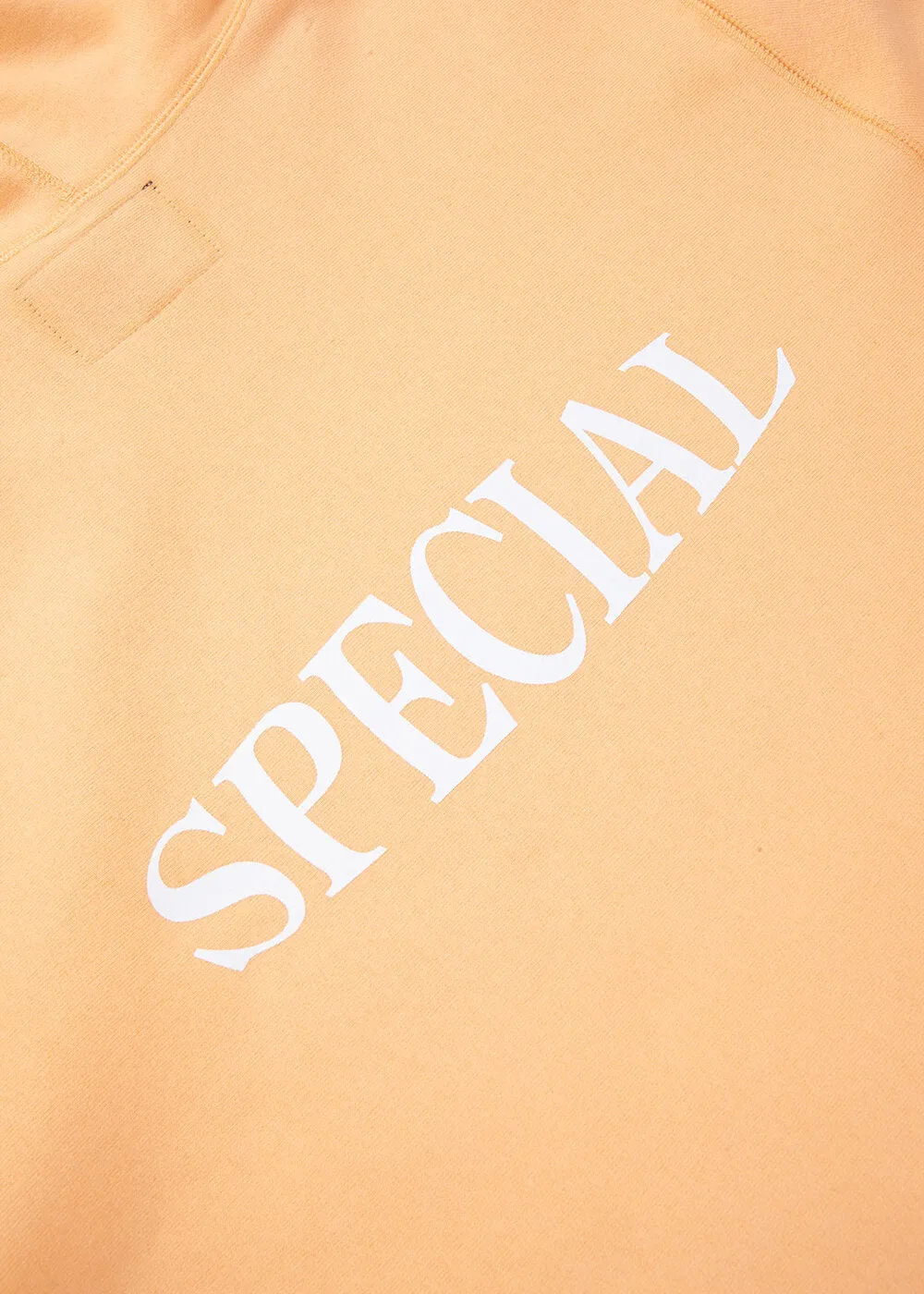 Nothin’ Special Oval Logo Pullover Hoodie Orange Sherbet