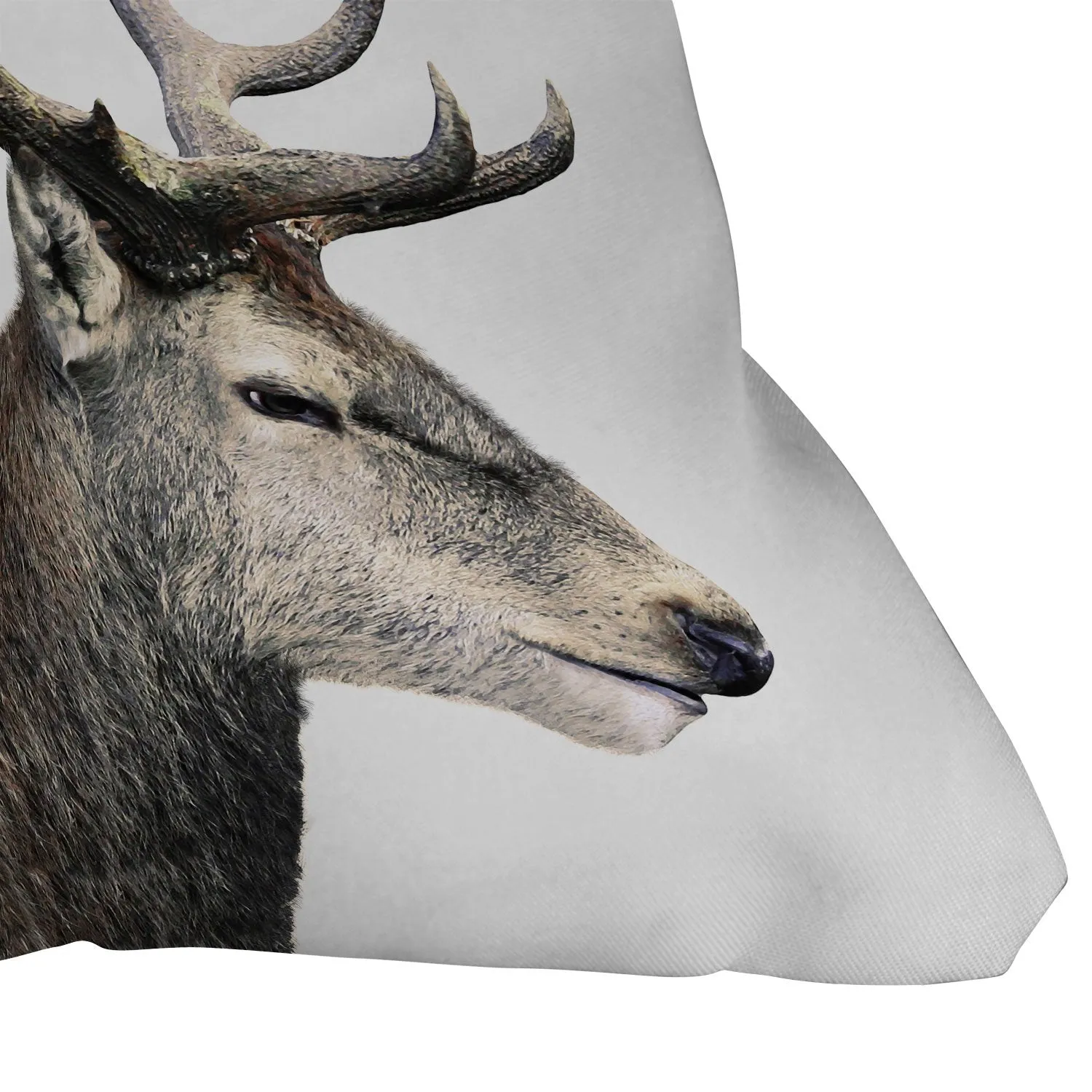 Ole Oh Deer Indoor / Outdoor Throw Pillows (DS)