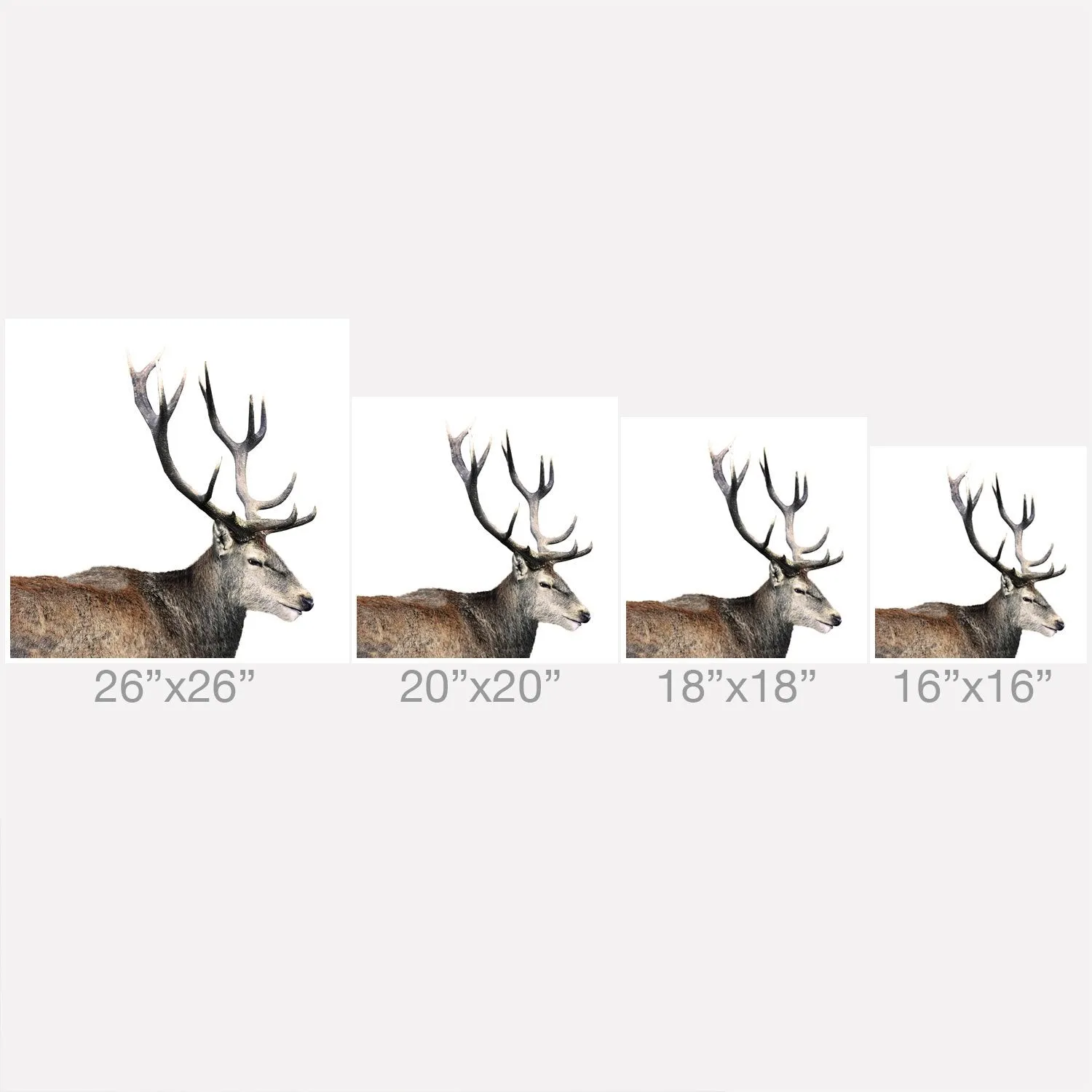 Ole Oh Deer Indoor / Outdoor Throw Pillows (DS)