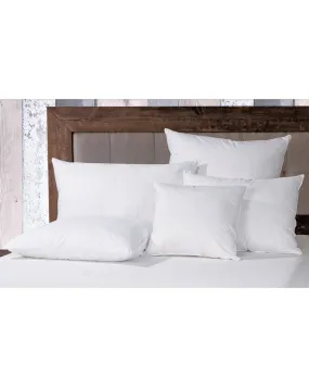 Product Name:  HiEnd Accents White Down Pillow Sham Inserts